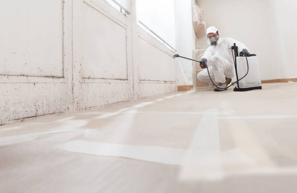 24/7 Emergency Black Mold Remediation experts in Mount Laurel, NJ