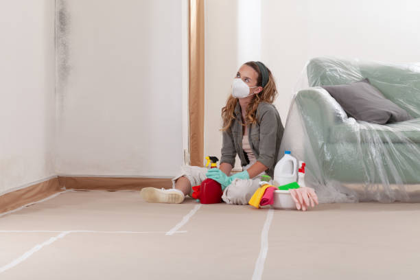 Reliable Black Mold Remediation contractor in Mount Laurel, NJ by Car Mold Remediation